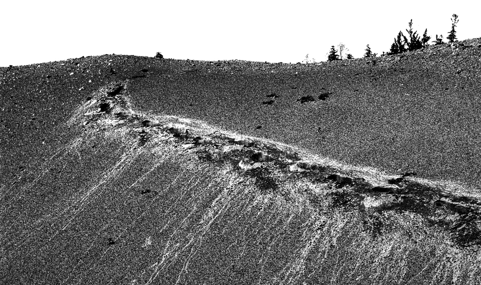 High contrast monochrome image with layered texture